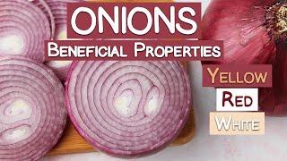 Onions and Their Beneficial Properties | Yellow, Red & White