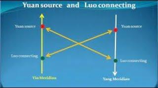 LUO-CONNECTING POINTS 3: Yuan Luo (Guest-Host) Point Combinations in Clinical Practice