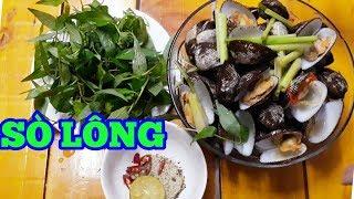 Cách làm Sò Lông hấp xả giòn giọt không bị dai | Thanh Tâm Food