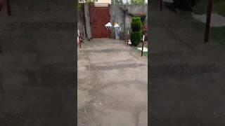 @Rnwaseemvlog-e8s @rnwaseemvlog