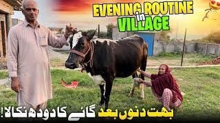 Evening Routine in Village  Aj Boht Dinu Bad Gaay ka Dodh Nikala || Humare Ami Abu