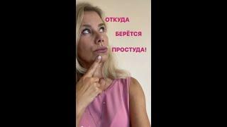 ОТКУДА БЕРЕТСЯ ПРОСТУДА?