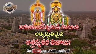 Mind Blowing Facts And History Of Arunachalam Temple! అరుణాచలం గురించి ఆశ్చర్యకర నిజాలు! MPLANETLEAF