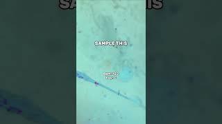 SAMPLE THIS #02