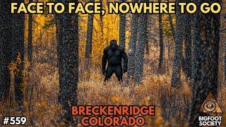 A Terrifying Encounter in the Colorado Woods. | Bigfoot Society 559