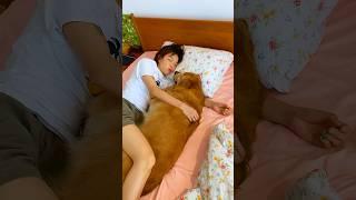 Jackie falls asleep with Mommy  #shorts #youtubeshorts #viralshorts