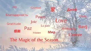 Magic of the Season