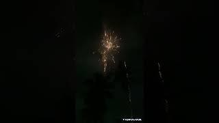 fireworks  #fireworks #celebration #bomb #fire #shortvideo #shortsfeed #shoot #shorts