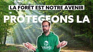 475 suppressions de postes à l’Office National des Forêts