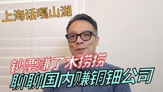 【上海话嘎山湖】下行经济中，还有哪些公司在赚钱？说说我接触的那些企业。