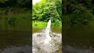 Rc ft012 лодка на радио управлении на безколлекторной системе 2-3s #reels #rc #катер #лодка