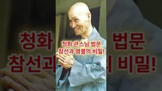 청화 큰스님의 참선과 염불의 비밀! #청화큰스님 #법문 #염불 #참선 #아미타불 #다르마 #관세음보살
