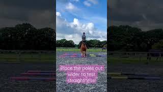 Polework Exercise - Trot & Canter Straightness for Horses