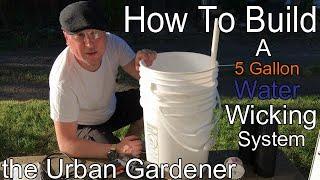 How to build A 5-Gallon Bucket Water Wicking Growing System  | Read Video Description for UPDATE...