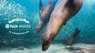 PADI AWARE - Celebrating 30 Years in Conservation