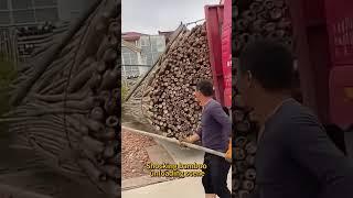 A truckload of bamboos poured down in an instant. This operation is so stress-relieving!