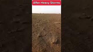 After Heavy Storms #viral #shortsvideo #shortsfeed #shorts