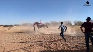 Mr Piloto Cuadra Los Arados vs Comisario Cuadra Plebe Carril La Curva ZAC 2022