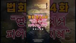 법화경 34화, – “연꽃 속에서 피어나는 지혜”  #법화경 #불교철학 #깨달음