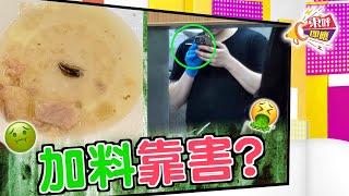 【on.cc東網】東呼即應：酒樓點心驚現曱甴　廚師室內吸煙斷正