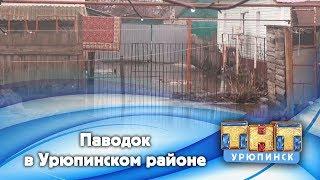 Паводок в Урюпинском районе