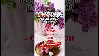 Какой процент вашей мудрости по знаку зодиака  #гороскоп #знакизодиака #астрология#astrology