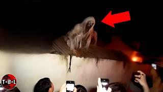 5 डरावनी भूत || Top 5 Scary Ghost Videos