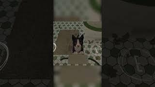 Делал ли твой котэ также? #shorts #copycat #copycatdemo #cat #catfunny #gaming #инди_игры #demo