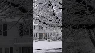 Snow Day/Snowfall in New York️️️🩵 #snow #snowfall #snowday #snowflakes #nyc #newyork #ny