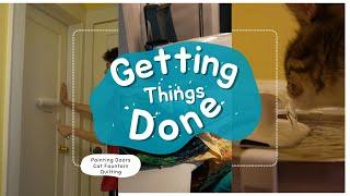 Getting Things Done || Painting Doors - PetLibro Cat Fountain - Quilting ||