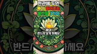 현관에 이것만 두면 돈복이 몰려온다? 재물운 터지는 물건 3가지 공개!