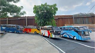 GAK TERIMA DI SALIP BUS NPN KEJAR KEJARAN DENGAN BUS PMTOH DAN BUS SEMPATI STAR - VERSI MINIATUR BUS