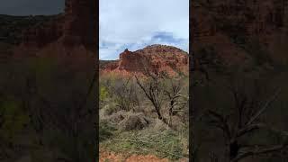 Caprock Canyon