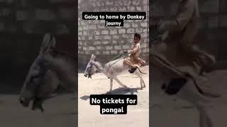 Sankranthi ki vastunam, happy pongal chennai to visakhapatnam #funny #comedy #animals