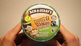 Ben & Jerry's Non-Dairy Peanut Butter & Cookies Review