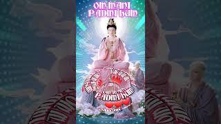 OM MANI PADMI HUM_thần chú đại bi_#adidaphat #phatphap #phatphapnhiemmau #phat