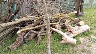 Дрова в деревне - сколько стоят - сколько сгорает за зиму/Новая Жизнь РоМашки