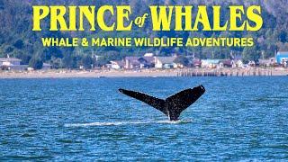 VANCOUVER Day 2 - 'Prince Of Whales' boat tour