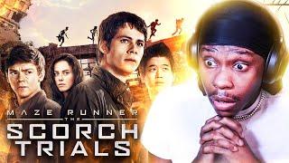 FIRST TIME WATCHING *THE MAZE RUNNER SORCH TRIALS*