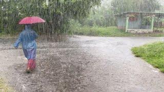 Walking Through the Village in Heavy Rain, Cold Atmosphere Perfect for Sleep and Relaxation