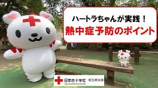 ハートラちゃんが実践！熱中症予防のポイント【日本赤十字社】