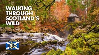 The Most Beautiful Nature Walk in Scotland l Walking Tour 4K HDR 60fps