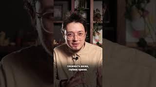 Чайный квадрат Малевича | Подарочный шэн пуэр из Биндао и Баньчжана #чай #история #искусство