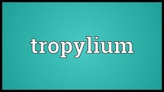 Tropylium Meaning