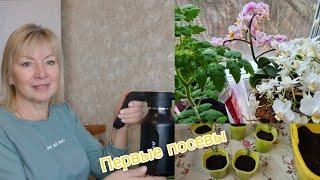 Vlog Первые посевы РАННИЕ ТОМАТЫ и ПЕРЕЦ.Голая земля НА ДАЧЕ. Покупка продуктов