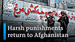 Taliban official: Strict punishments and executions will return to Afghanistan | DW News