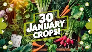 30 Crops to Plant in January for a Thriving Garden