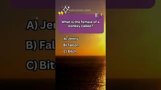 Quiz Hub-Too easy?How many correct answers did you get? #trivia #quiz #gameplay #fyp #games