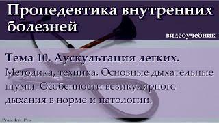 Тема 10. Аускультация легких. Основные дыхательные шумы.