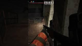S.T.A.L.K.E.R. 2: ️